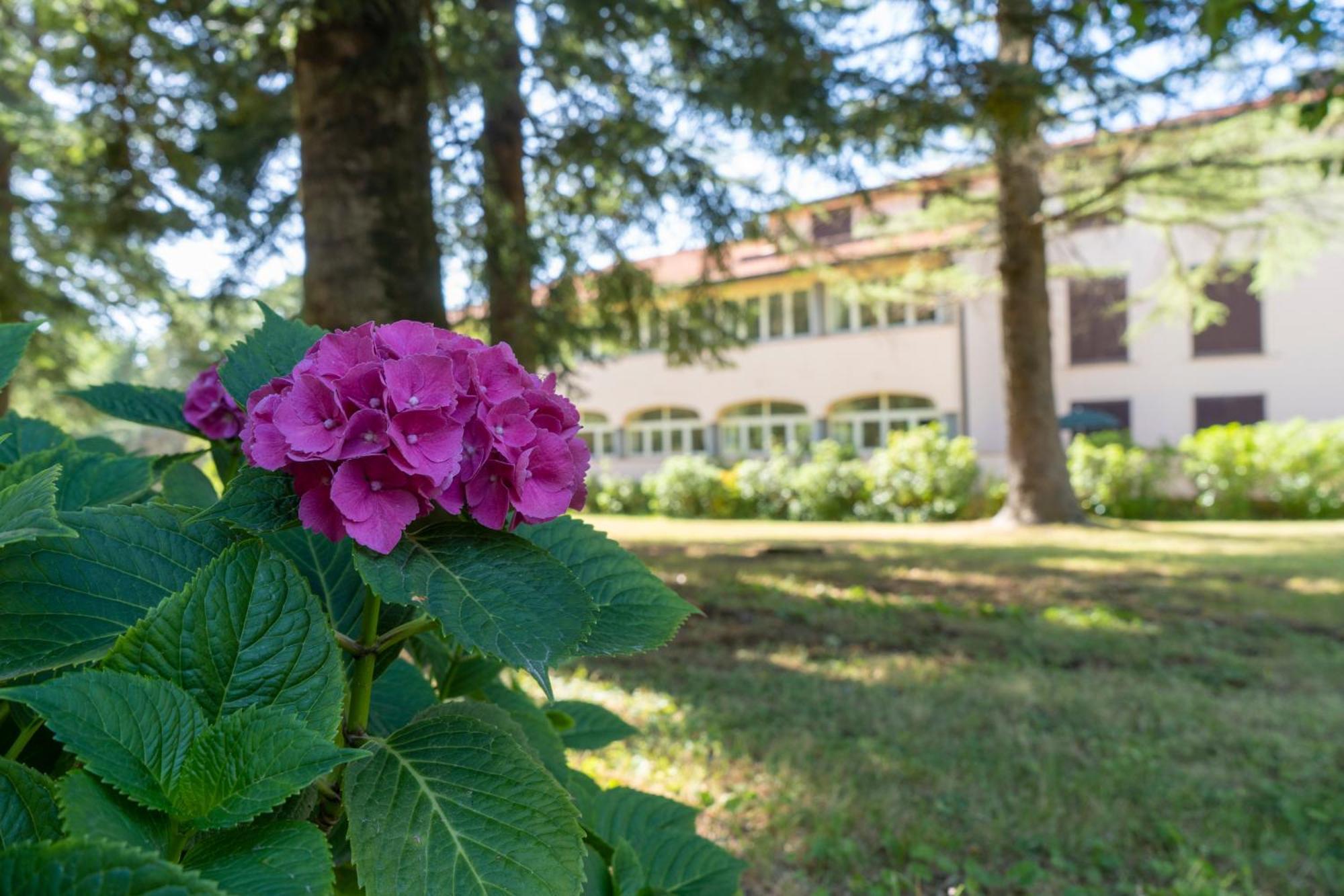 Toscana Wellness Resort Arcidosso Exteriér fotografie